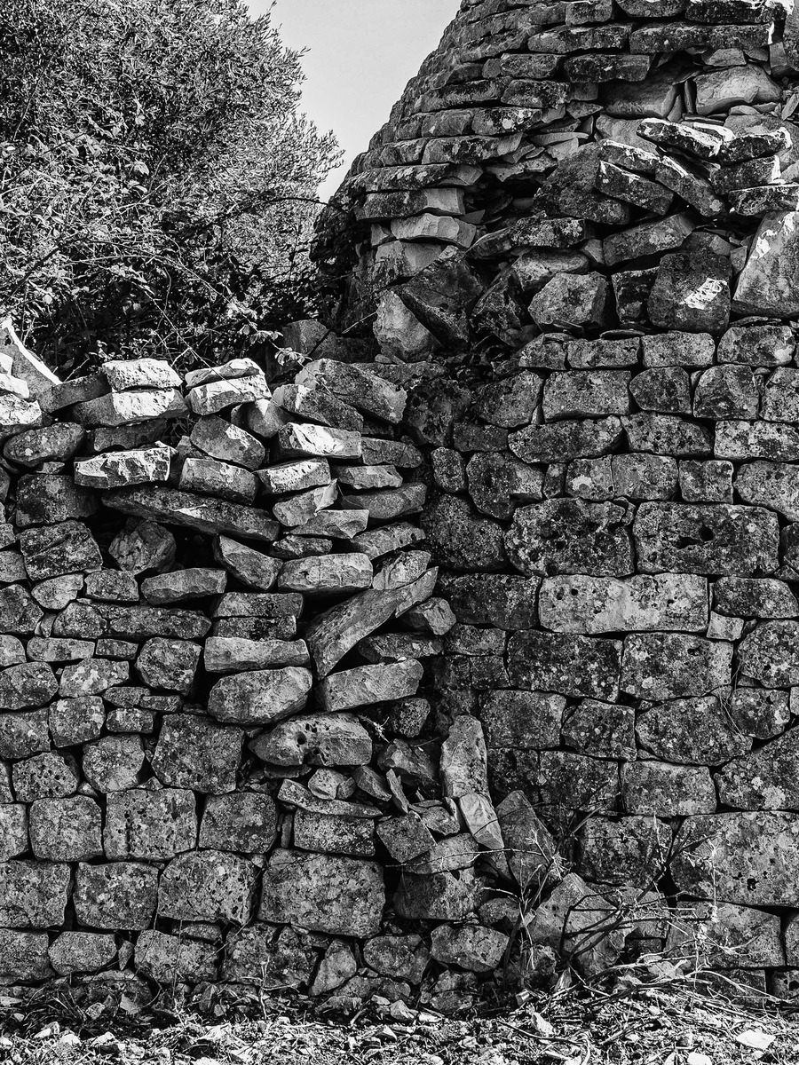 Puglia-555 - Puglia: Landscape with Trulli