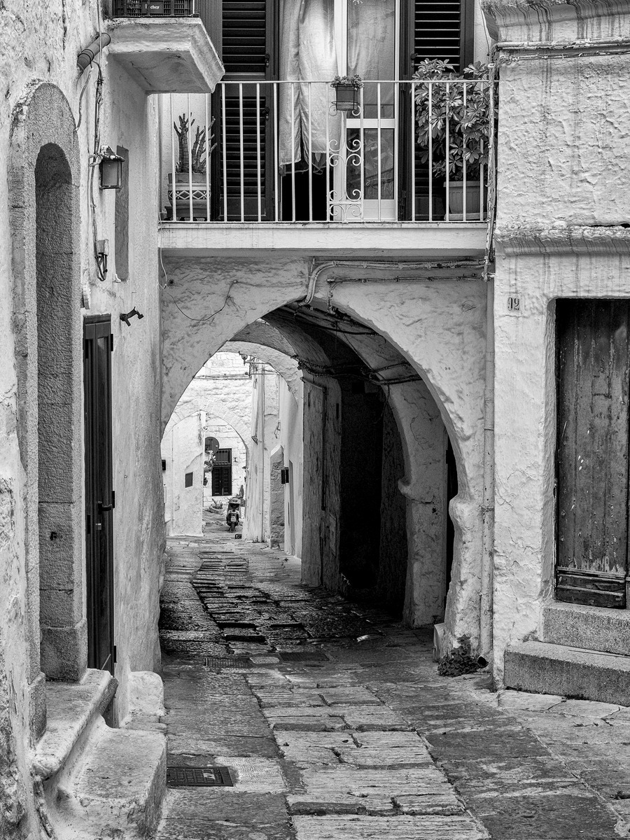 Puglia-733 - Puglia: Landscape with Trulli