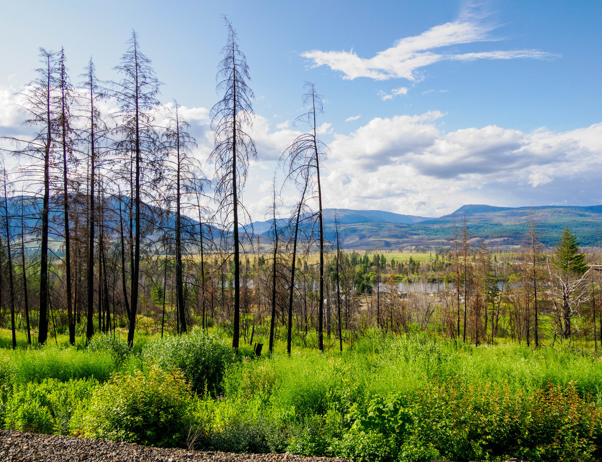 Canada Alaska Card 4-60-Edit - Rocky Mountaineer