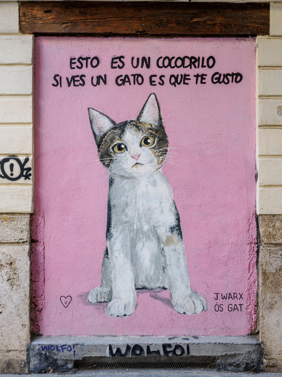 Valencia 1 -92 - Valencia: Street