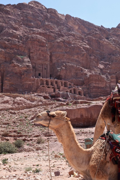 Petra 110 - Jordan - Petra