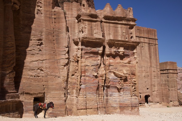 Petra 79 - Jordan - Petra