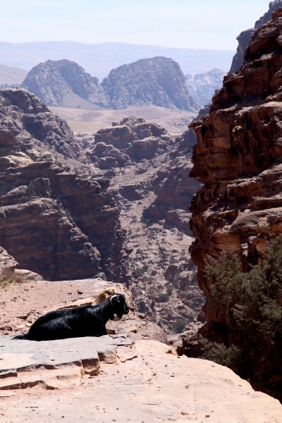Petra 156 - Jordan - Petra