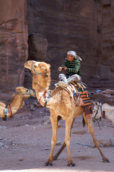 Petra 85 - Jordan - Petra
