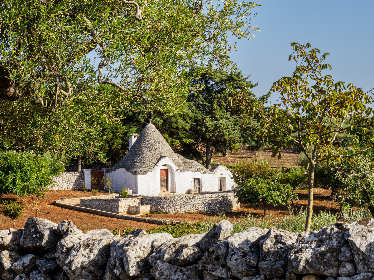Puglia-577 - Puglia: Landscape with Trulli