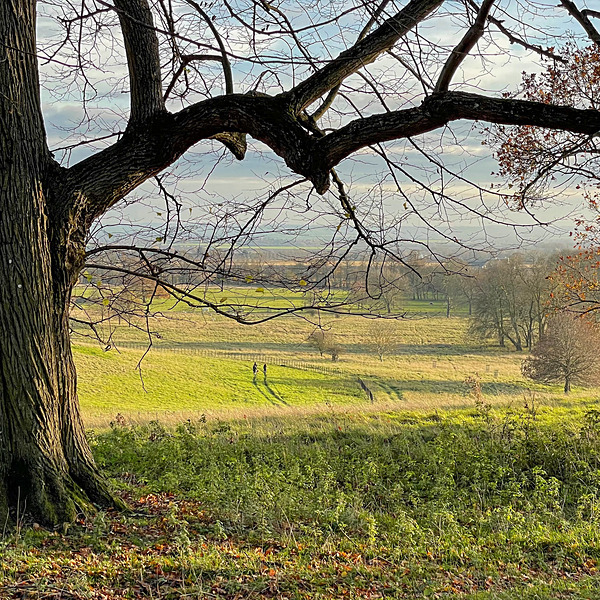 Wimpole 23Nov20 - 9 - Wimpole Hall