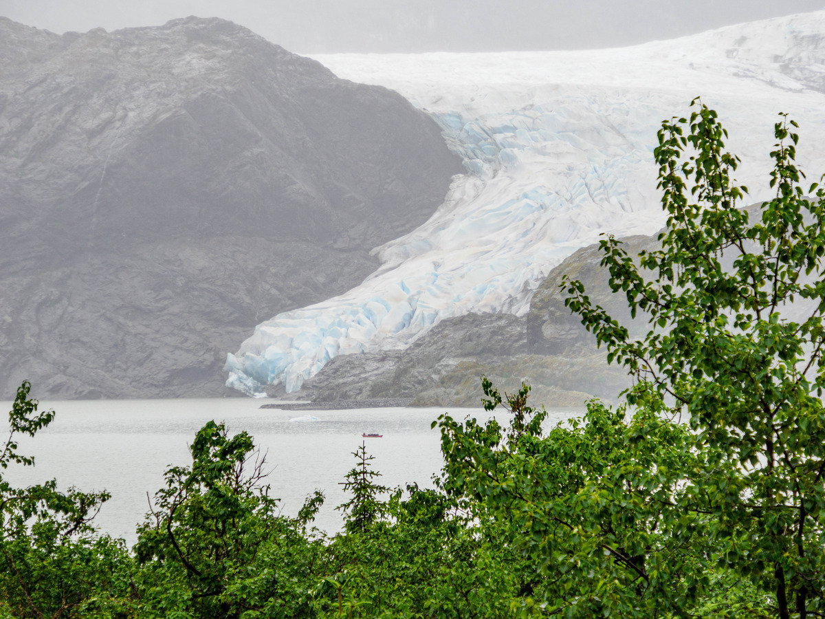 Juneau and Humpbacked Whales-275 - Alaska 2