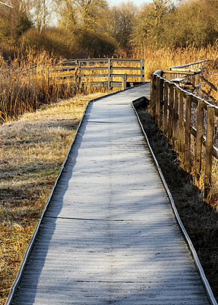  - Wicken Fen
