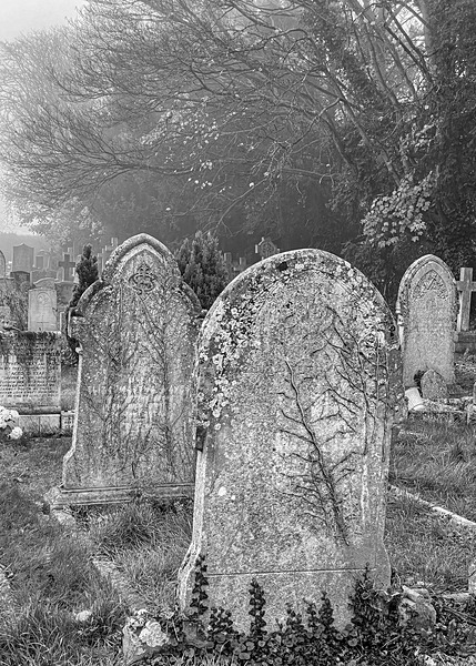 Royston Mist 6Dec20-18 - (Mainly) Black and White