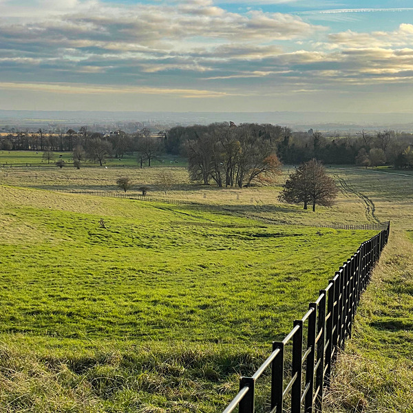 Wimpole 23Nov20 - 10 - Wimpole Hall