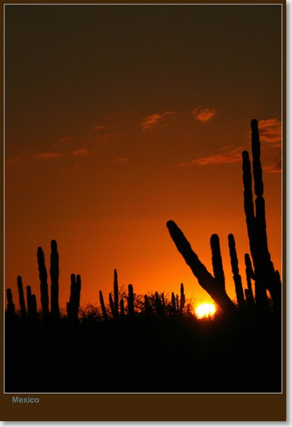  - Mexico (Journeys)