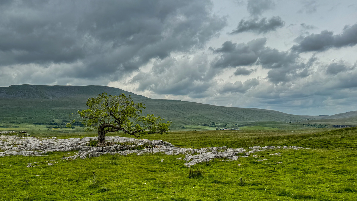 Yorkshire4 - Yorkshire Meadows, Barns and Waterfalls