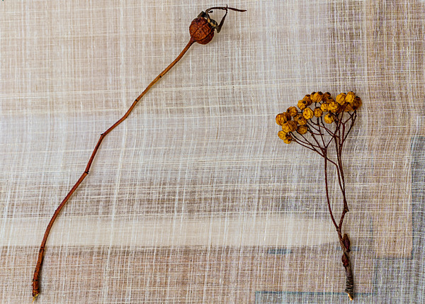 Odds Ends Places Things8 - Odds and Ends: Places and Things