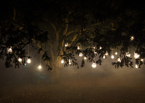 Wimpole lights 2021-54 - Wimpole Hall