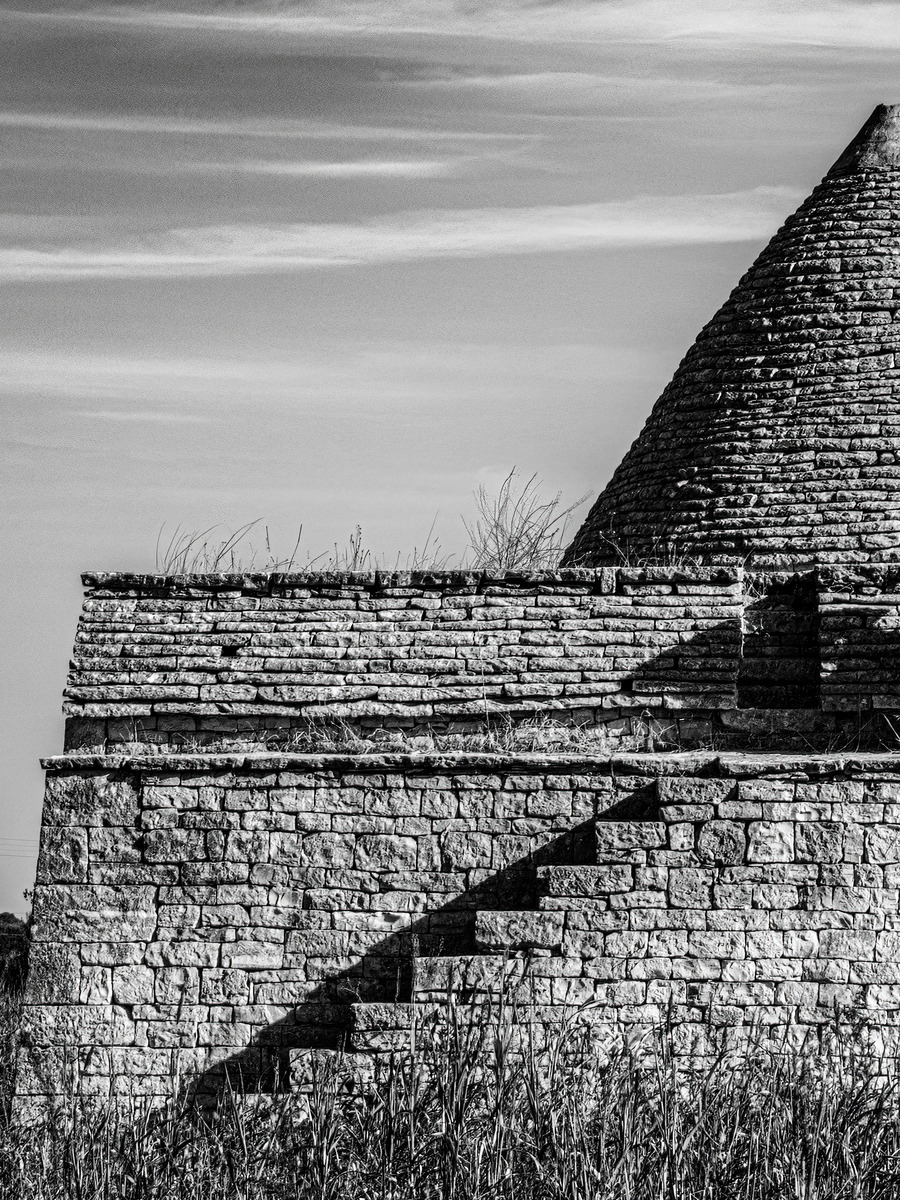Puglia-636 - Puglia: Landscape with Trulli