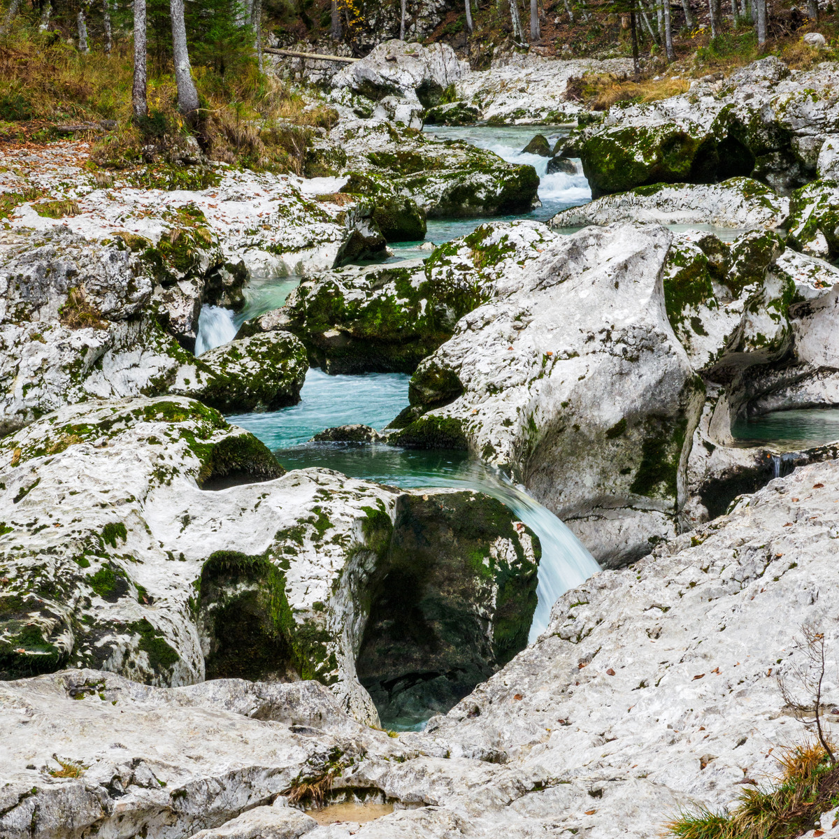 Slovenia Card3-64 - Slovenia Landscape