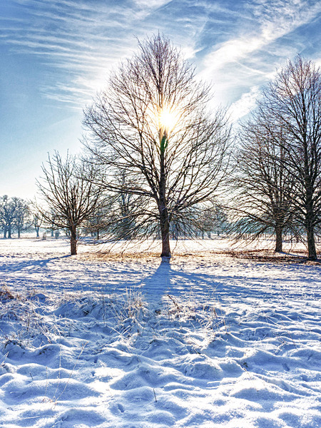 Wimpole Hall 16Dec22-7-Edit-2 - Wimpole Hall