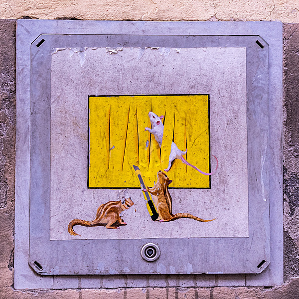 IMG_8857 - Tuscany