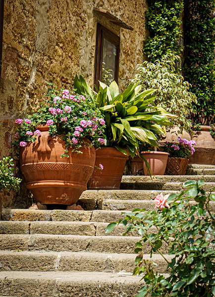 DSC03362 - Tuscany