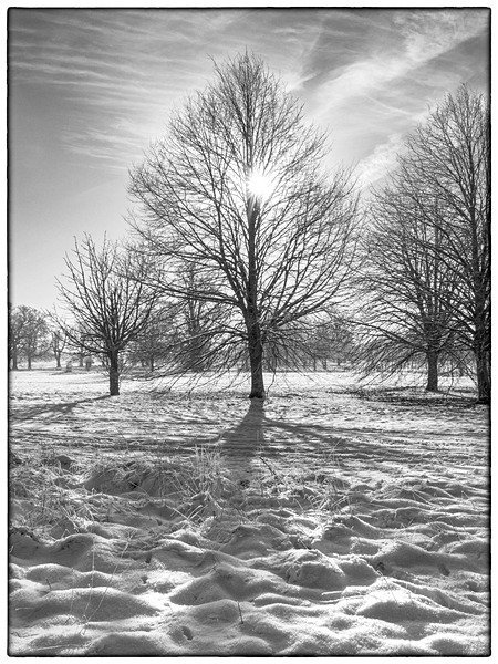Wimpole Hall 16Dec22-7-Edit - Wimpole Hall