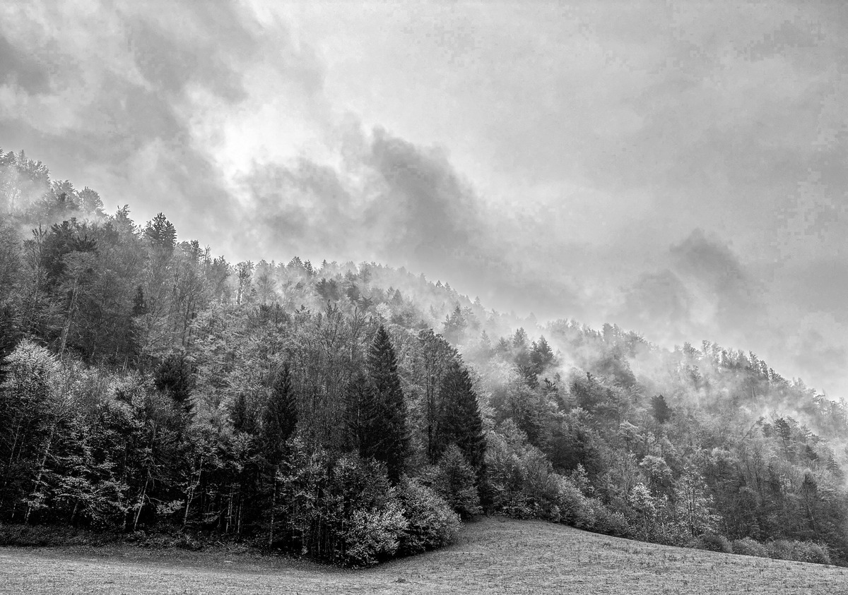 Slovenia iPhone - 163 - Slovenia in the Mist