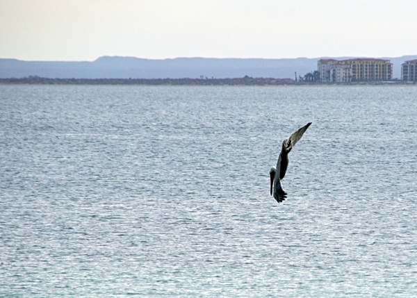  - La Paz, Mexico