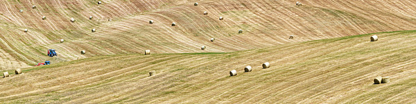 DSC03492 - Tuscany