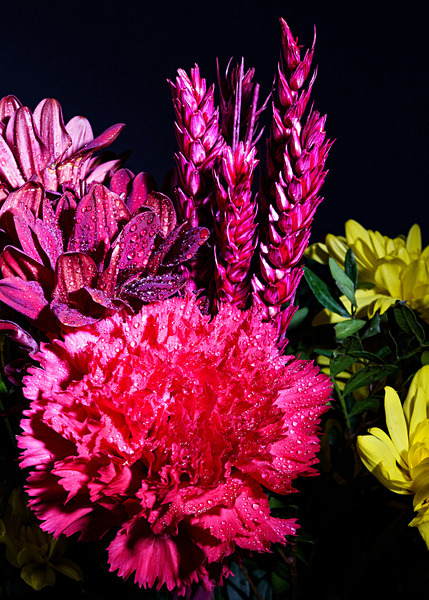 Floral2-5 - Floral 2 (with a few experiments)