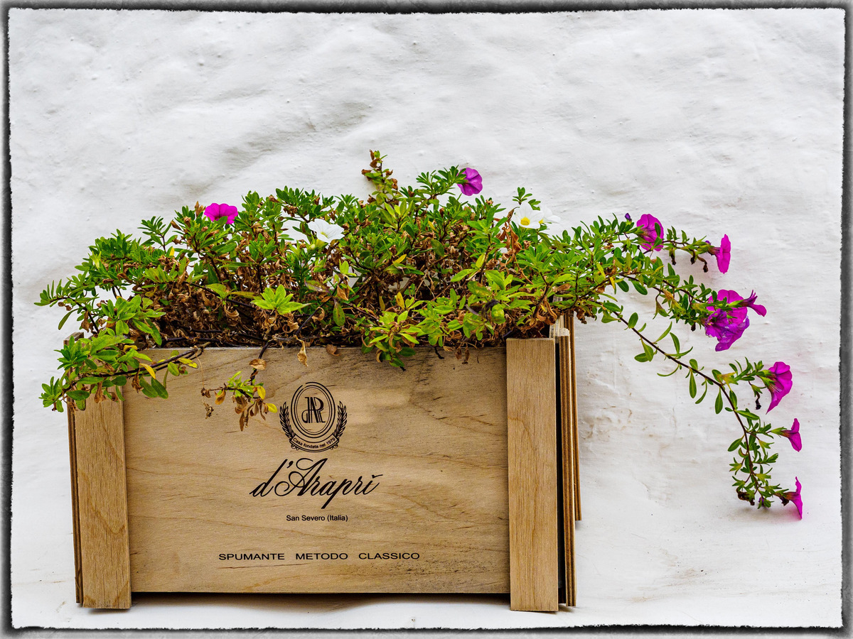 Puglia-789 - Puglia: More Quirky