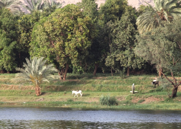Egypt Street and River 13jpg - Egypt - Street and River