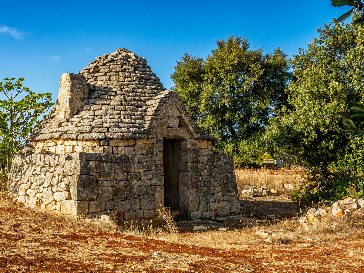 Puglia-811 - Puglia: Landscape with Trulli