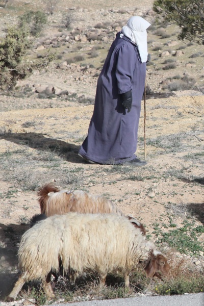 Jordan Roadside 18 - Jordan - Other
