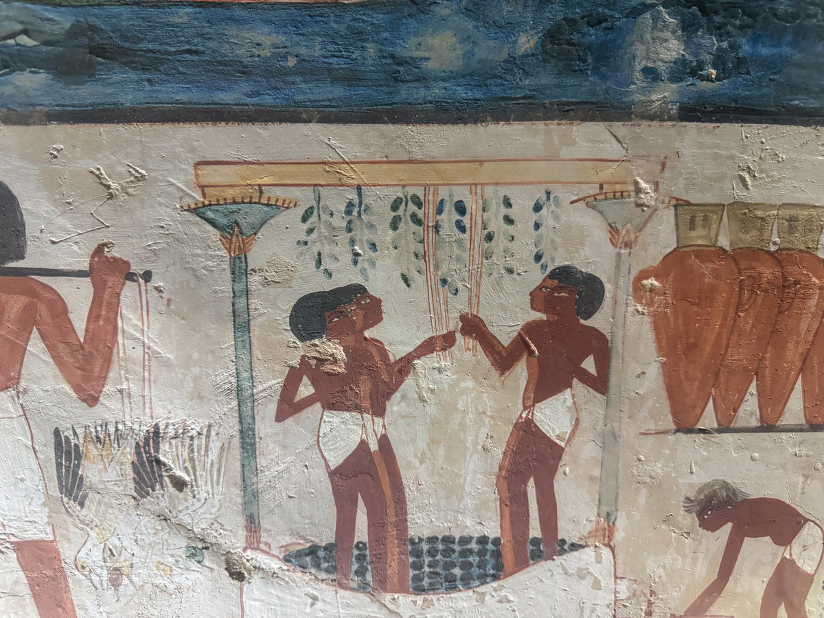 Tomb of Nakht-5 - Egypt: Archaeological Wonders