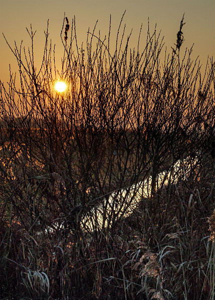  - Wicken Fen