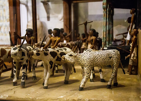 Mereruka Cattle Census Model - Ancient Egypt