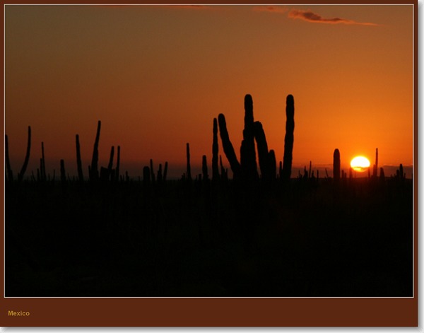  - Mexico (Journeys)