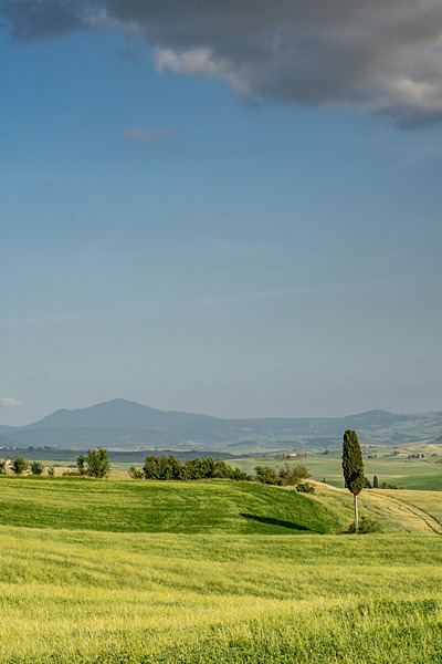 DSC03661 - Tuscany