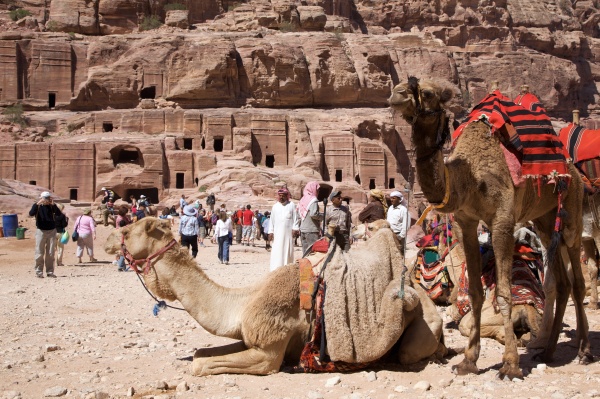 Petra 86 - Jordan - Petra