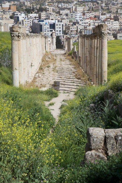 Jerash 33 - Jordan - Jerash