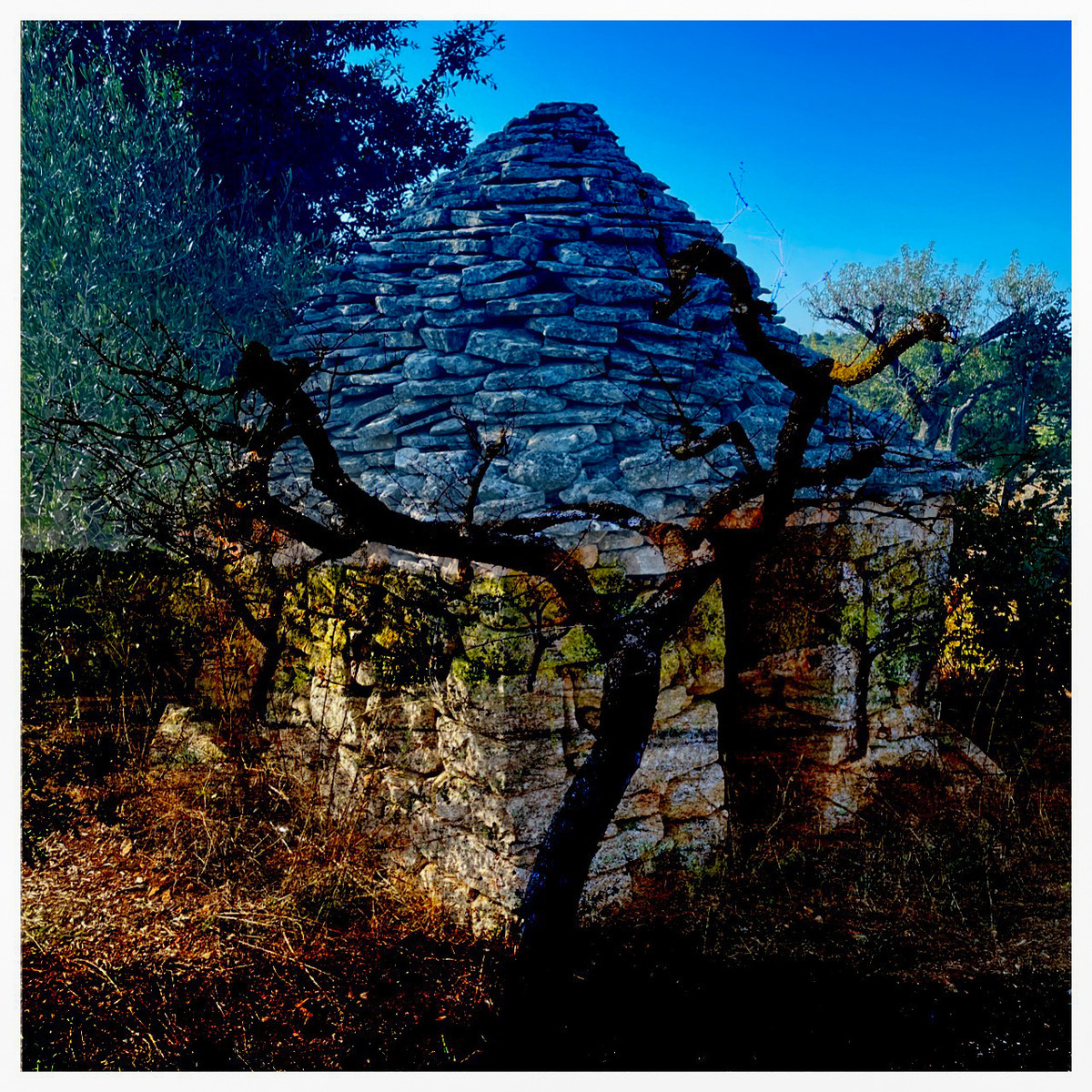 Puglia-916 - Puglia: More Quirky