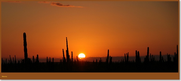  - Mexico (Journeys)