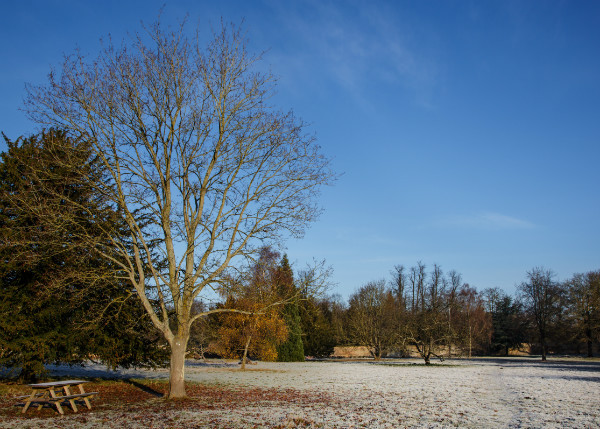  - Wandlebury in Winter