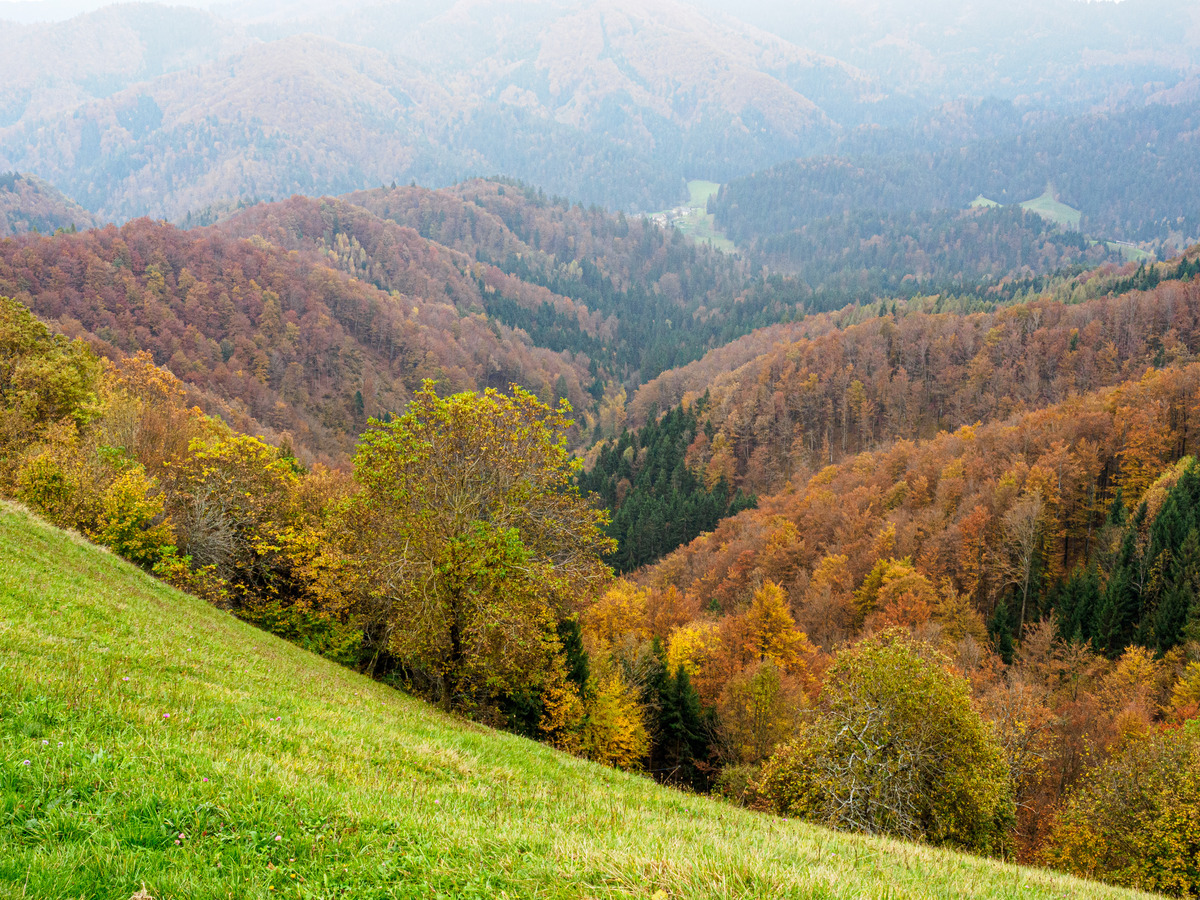 Slovenia Card4-1 - Slovenia Landscape