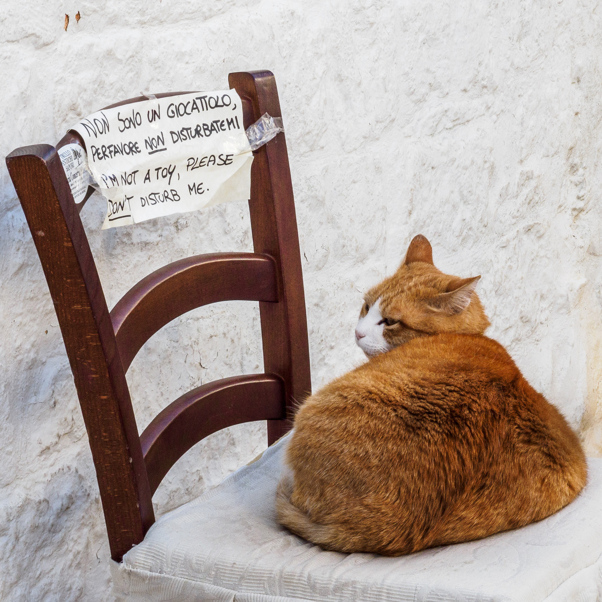 Puglia-861 - Puglia: More Quirky