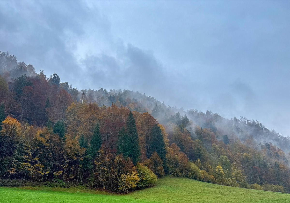 Slovenia iPhone - 162 - Slovenia in the Mist