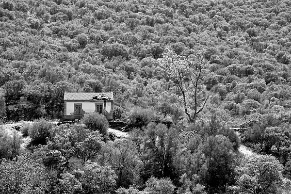 DSC00768-Edit - (Mainly) Black and White