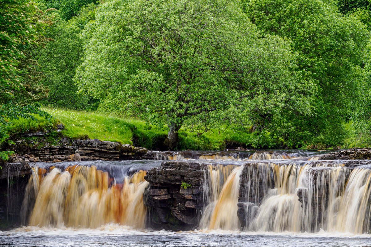 Yorkshire17 - Yorkshire Meadows, Barns and Waterfalls