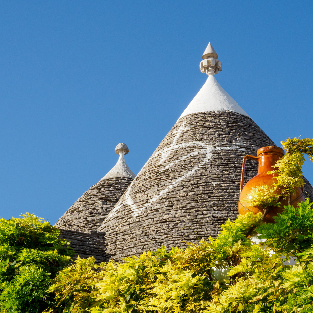 Puglia-855 - Puglia: Landscape with Trulli
