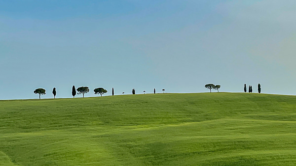 Tuscany iPhone - 11 - Tuscany