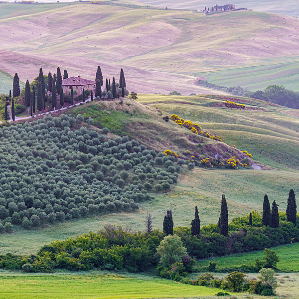 DSC03258 - Tuscany